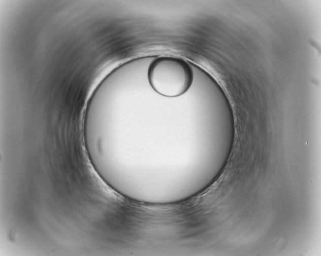 X0000094971392200712201213