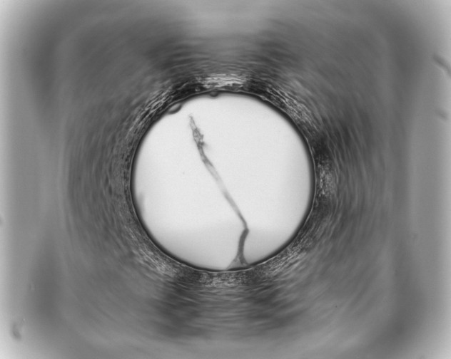 X0000094971393200712201212