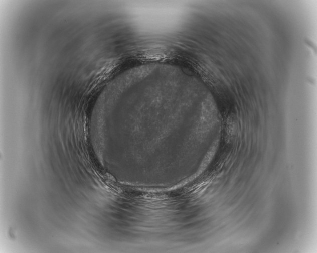 X0000094971394200712201212