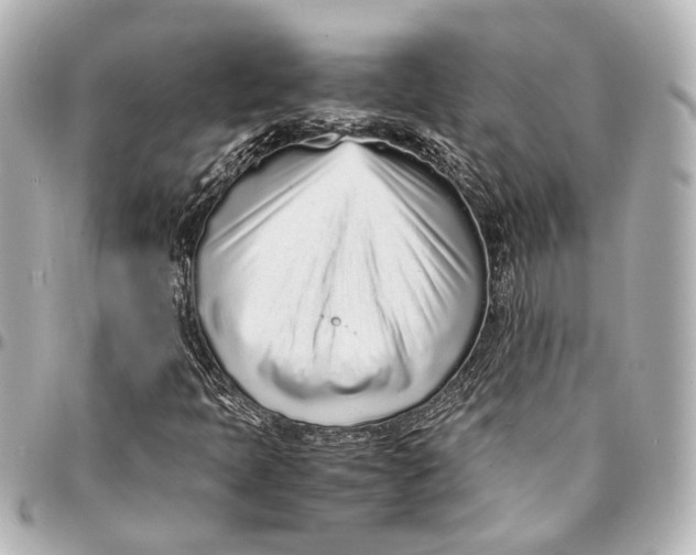 X0000094971397200712201212