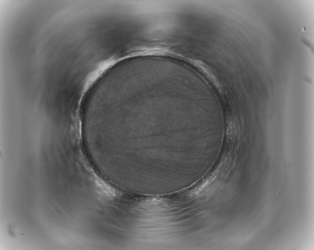 X0000094971414200712201212