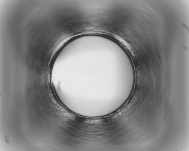 X0000094971415200712201212