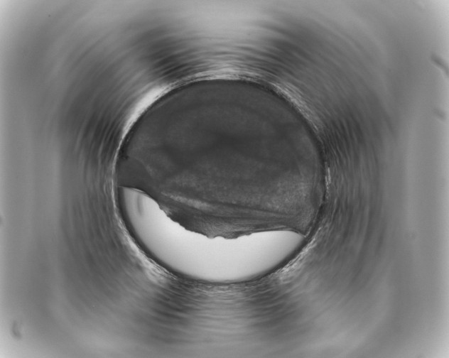 X0000094971418200712201212