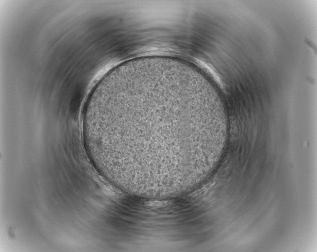 X0000094971419200712201212