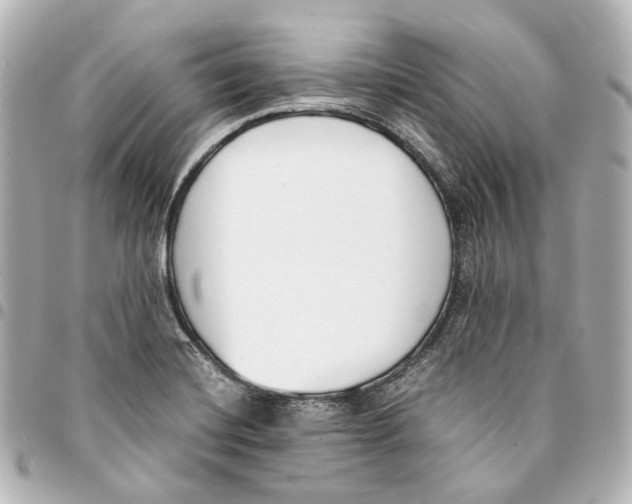 X0000094971420200712201212