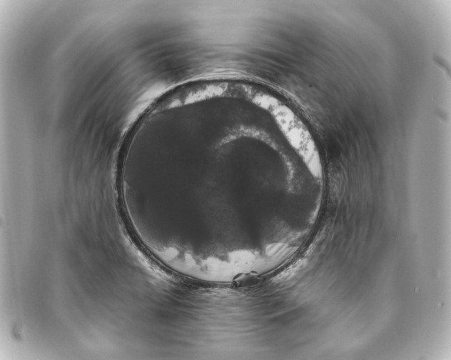 X0000094971422200712201212