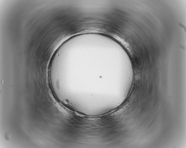 X0000094971423200712201212