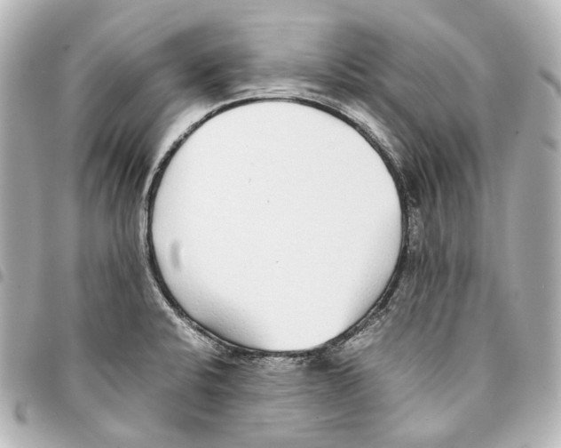 X0000094971424200712201212