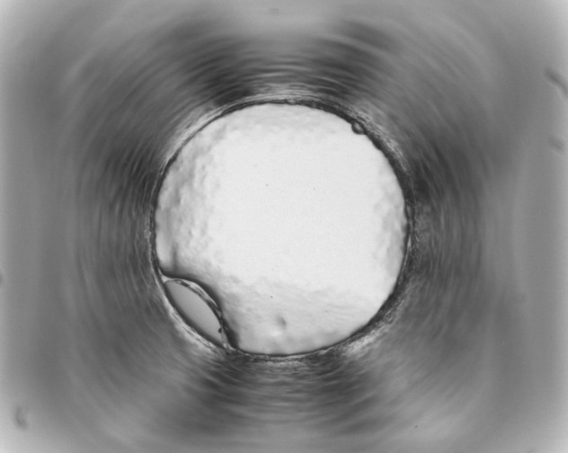 X0000094971425200712201212