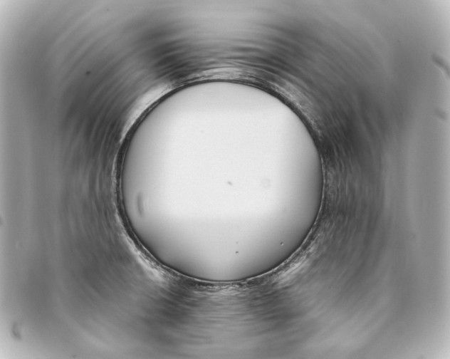 X0000094971426200712201212