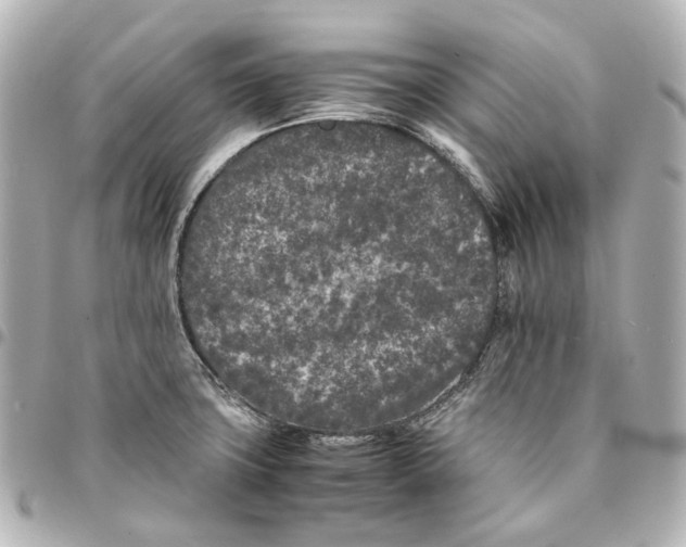 X0000094971427200712201212