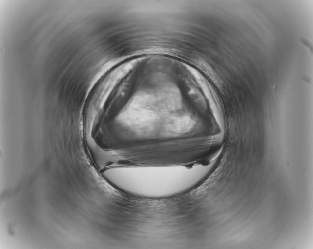 X0000094971428200712201212