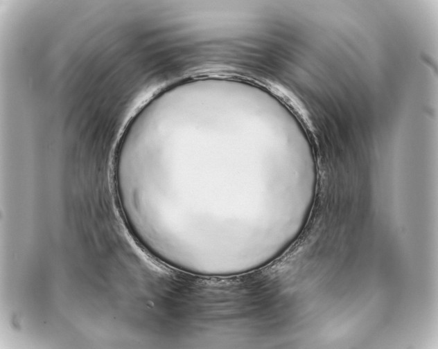 X0000094971429200712201212