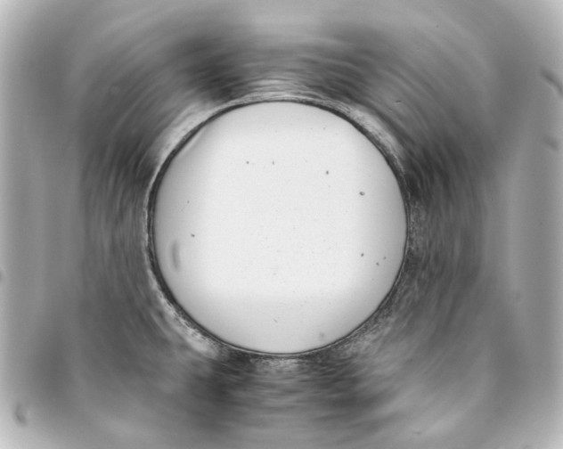 X0000094971431200712201212