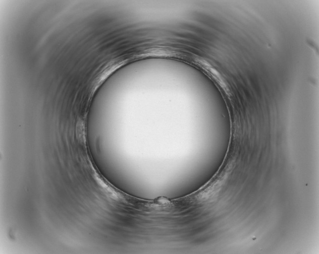 X0000094971433200712201212