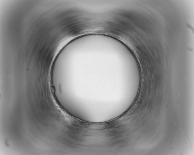 X0000094971440200712201212