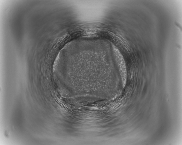 X0000094971441200712201212