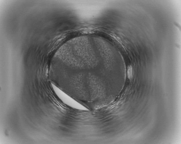 X0000094971444200712201212