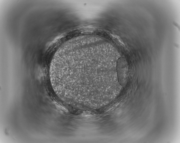 X0000094971445200712201212