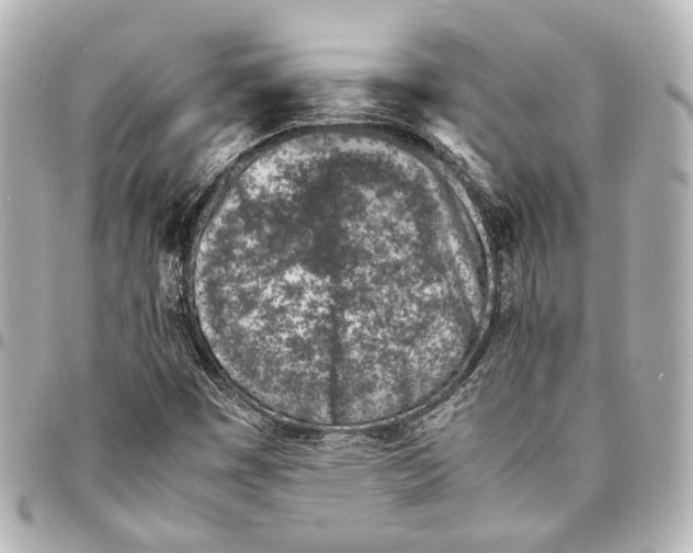 X0000094971449200712201212