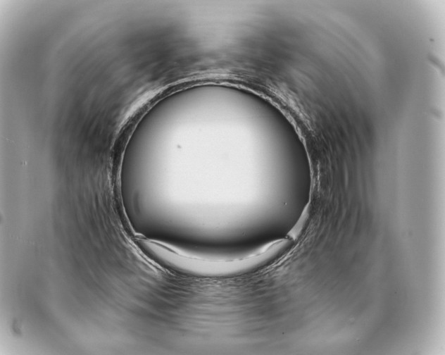 X0000094971452200712201212