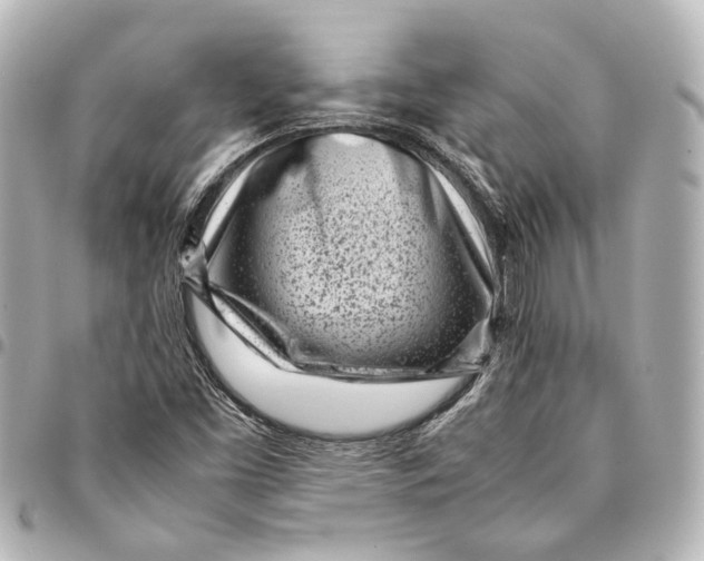 X0000094971453200712201212