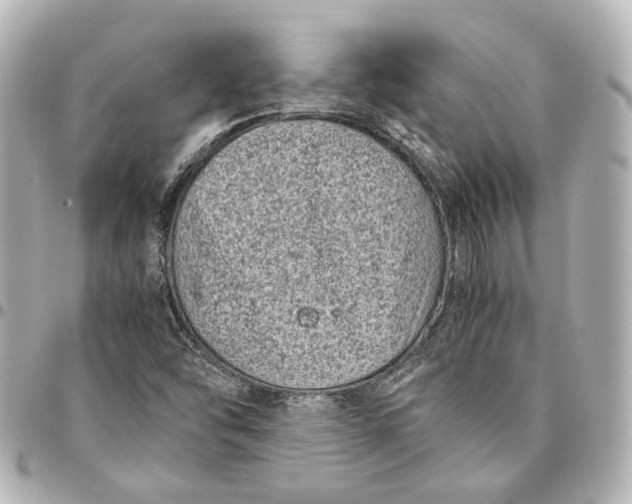 X0000094971454200712201212