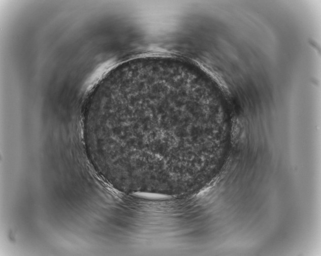 X0000094971455200712201212