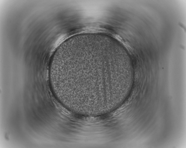 X0000094971459200712201212