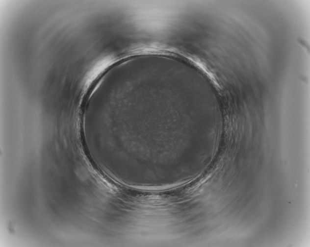 X0000094971463200712201211