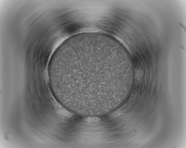 X0000094971466200712201211