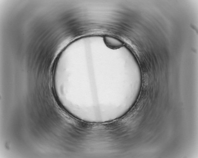 X0000094971467200712201211