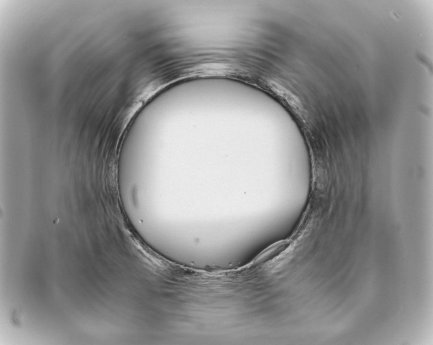 X0000094971473200712201211