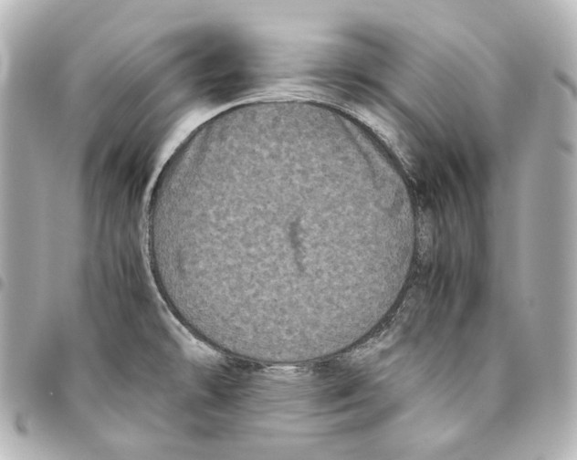 X0000094971478200712201211