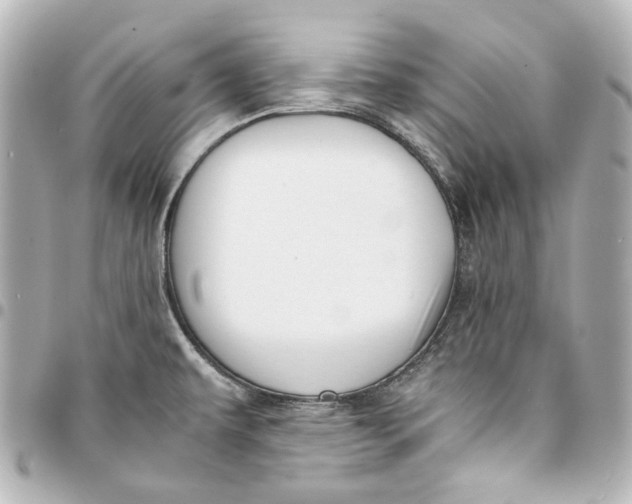 X0000094971479200712201211