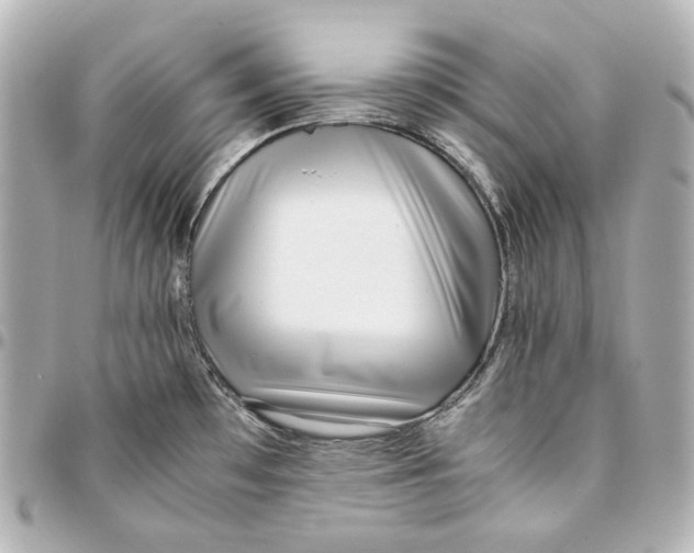 X0000094971481200712201211