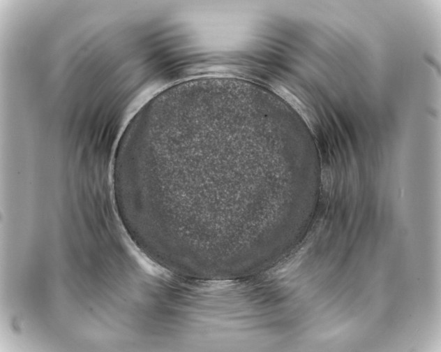 X0000094971482200712201211