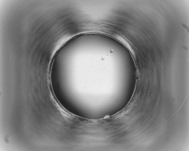 X0000094971485200712201211