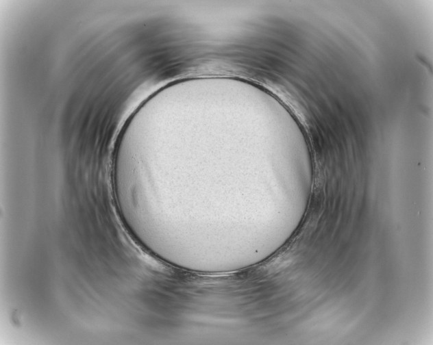 X0000094971486200712201211