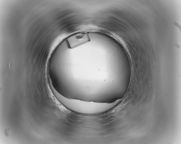 X0000094971488200712201211