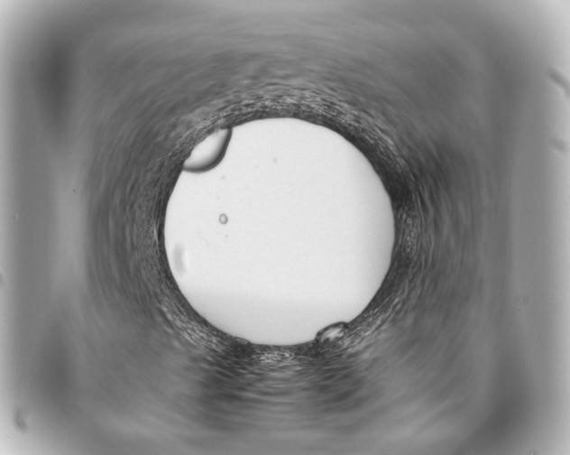 X0000094971489200712201210