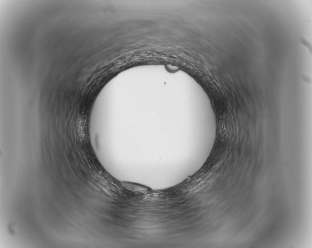 X0000094971490200712201211