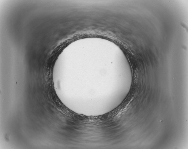 X0000094971494200712201211