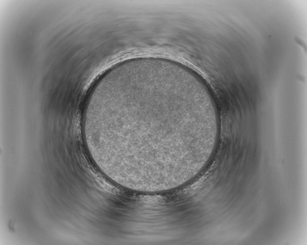 X0000094971498200712201211