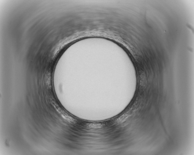 X0000094971499200712201211