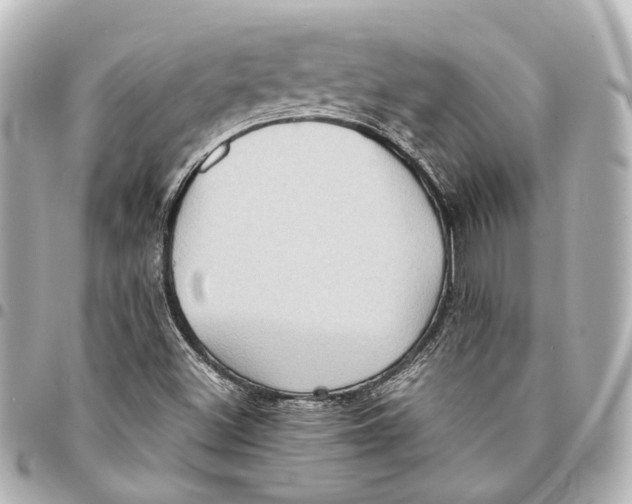 X0000094971500200712201211