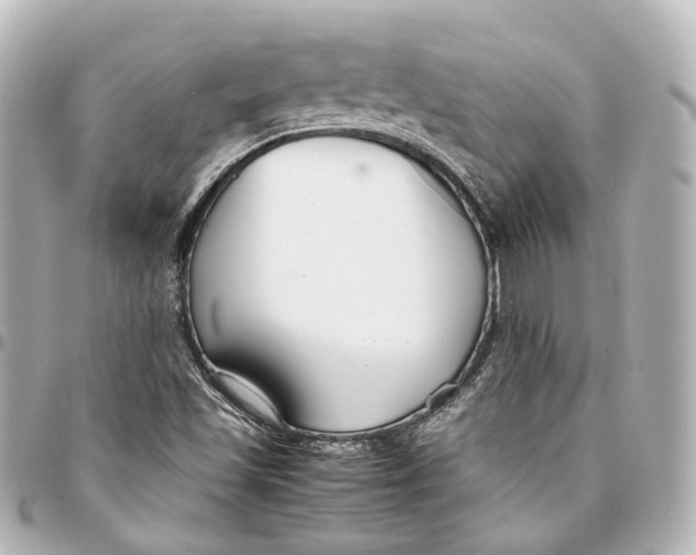 X0000094971501200712201211