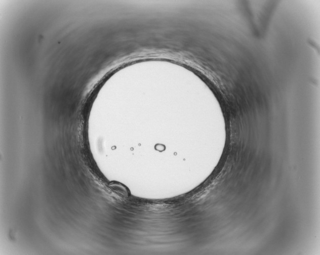 X0000094971502200712201211