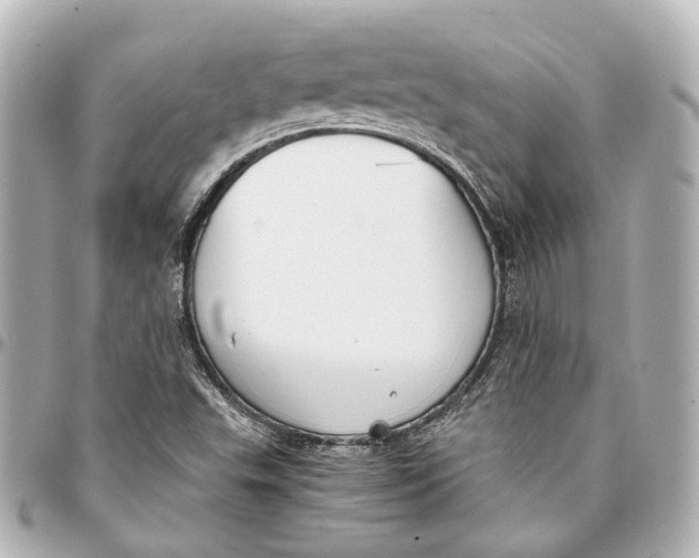 X0000094971503200712201211