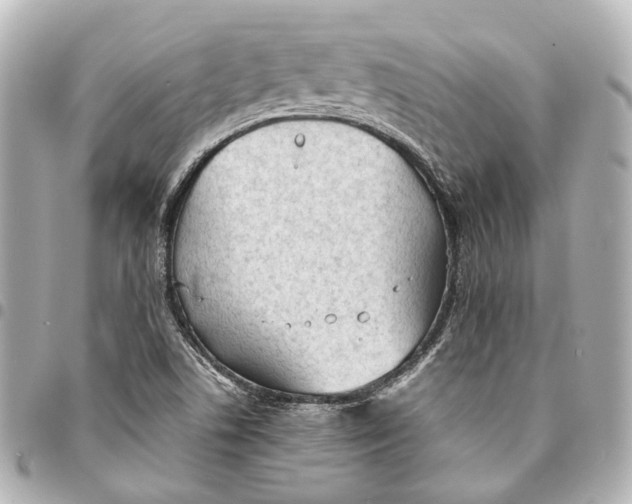 X0000094971506200712201211